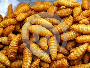 Fried chrysalis, fried silk worms, fried grasshoppers, crispy, fragrant, creamy, delicious, sold well in street stalls