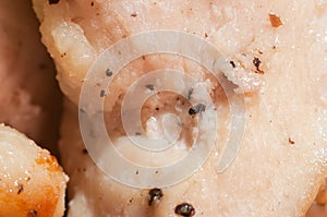 Fried cooked chicken breast with spices close-up. Macro shooting