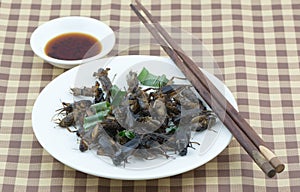 Fried cricket on white dish