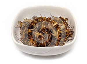 Fried crickets,This local popular Thai food