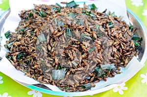 Fried Crickets Sold in the Market