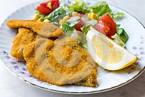 Fried Crispy Sardine Fish Plate with Salad and Lemon / Seafood Sardalya.