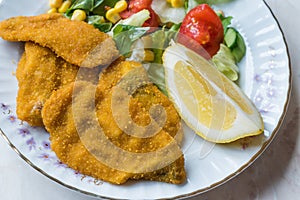 Fried Crispy Sardine Fish Plate with Salad and Lemon / Seafood Sardalya.