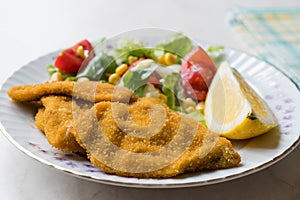 Fried Crispy Sardine Fish Plate with Salad and Lemon / Seafood Sardalya.