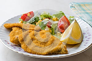 Fried Crispy Sardine Fish Plate with Salad and Lemon / Seafood Sardalya.