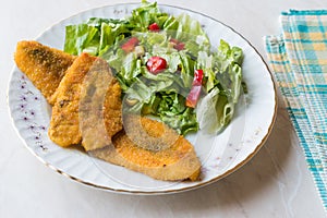 Fried Crispy Sardine Fish Plate with Salad / Seafood Sardalya