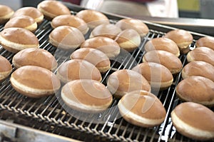 Fried Donuts On Conveyor