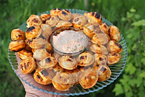 Fried dumplings on the grill lie in a plate with sauce