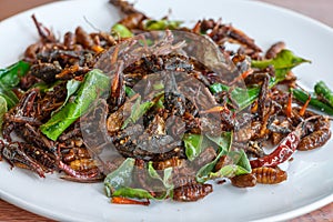 Fried edible insects mix on white plate