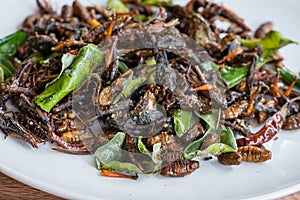 Fried edible insects mix on white plate