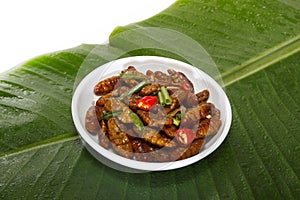 Fried edible insects on white plate and green leaf