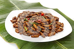 Fried edible insects on white plate and green leaf