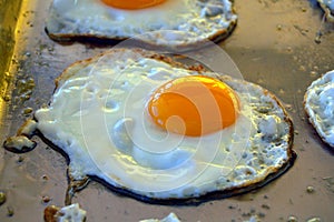 Fried egg
