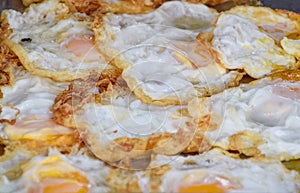Fried egg Arranged on tray. Many fried eggs are arranged in shop, Delicious and cheap food, Protien from egg