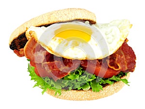 Fried Egg And Bacon English Muffin Sandwich