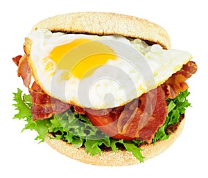 Fried Egg And Bacon English Muffin Sandwich