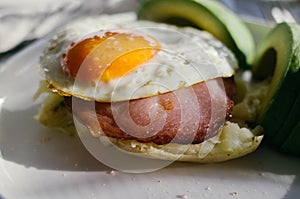 Fried egg with bacon