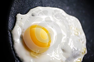 Fried egg