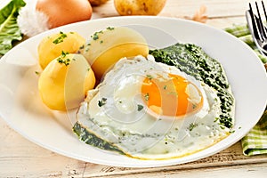 Fried egg with creamed spinach and potatoes