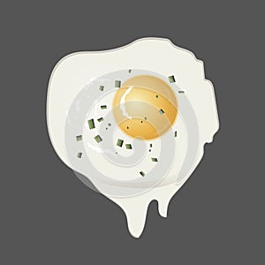 Fried egg with green onion. Fried egg flat icon