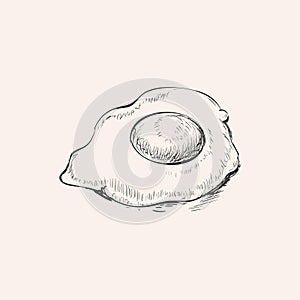 Fried Egg Hand Drawn Sketch Drawing Vector Illustration