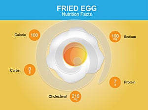 Fried egg nutrition facts, fried egg with information, fried egg vector