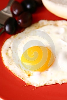 Fried egg with olives