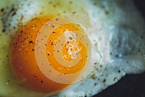 Fried egg on the pan
