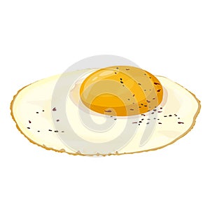 Fried egg with pepper isolated on white background vector illustration.