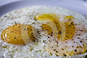 Fried egg with pepper photo