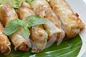 Fried Egg Rolls of Vietnamese cuisine