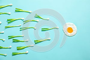 Fried egg and scallions