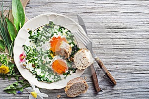 Fried egg with spring plants