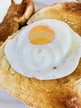 Fried egg on toast