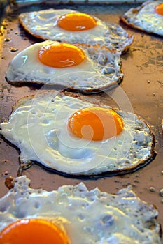 Fried eggs