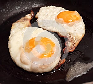 Fried eggs