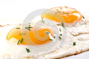 Fried Eggs