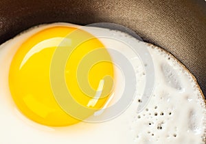 Fried eggs close up