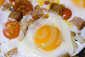 Fried eggs close up