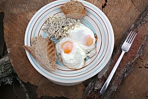 Fried eggs dish with toast and elvers
