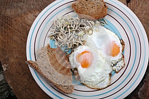 fried eggs dish with toast and elvers
