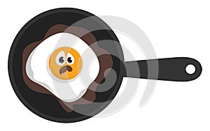 Fried eggs , illustration, vector