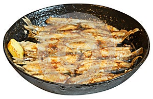 Fried fish capelin on black frying pan isolated photo