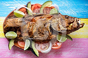 Fried fish on colorful background