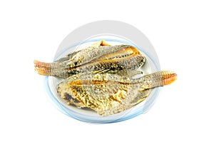 Fried fish in dish on white background