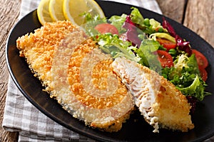 Fried fish fillet in breading and fresh vegetable salad close-up. horizontal
