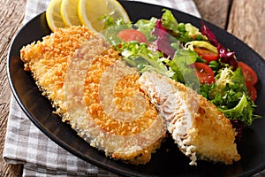 Fried fish fillet in breading and fresh vegetable salad close-up. horizontal photo