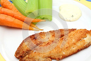 Fried fish fillet with carrots, celery and tartare sauce
