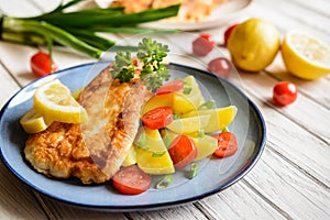 Fried fish fillets in batter, served with potato, tomato and scallion
