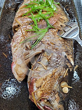 Fried Fish With Herbs Served on Top
